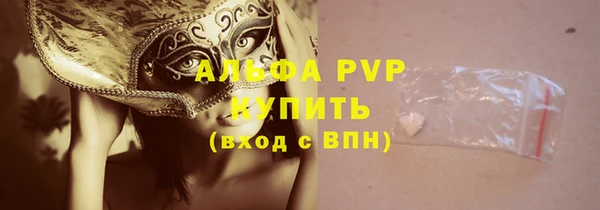 мяу мяу мука Елабуга
