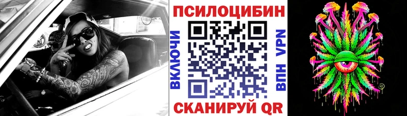 цены наркотик  MEGA как войти  Псилоцибиновые грибы GOLDEN TEACHER  это как зайти  Чкаловск 